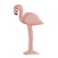 Ostheimer Flamingo