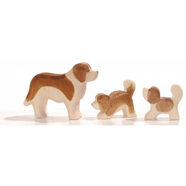 Ostheimer Sint Bernhard Hond