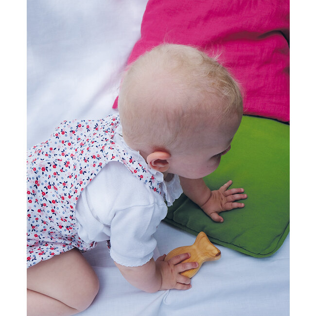 Grimms Rammelaar Vis