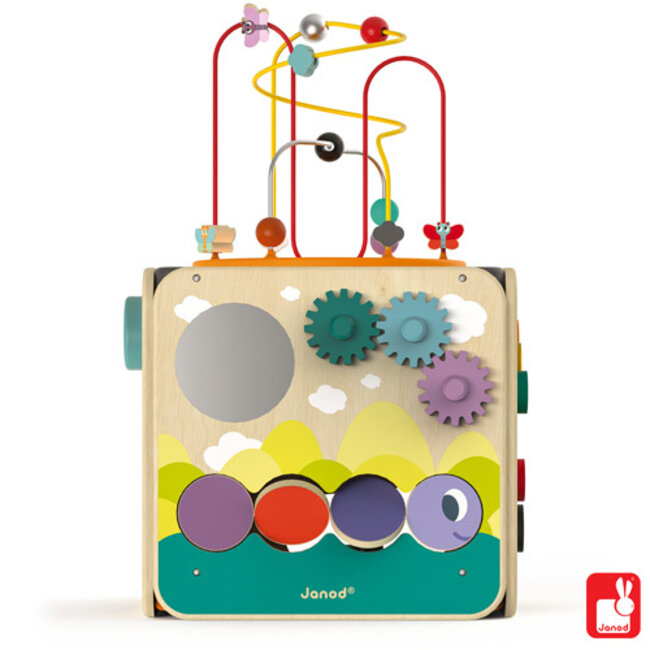 Janod Grote Speelkubus