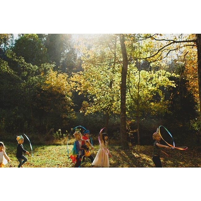 Sarah's Silks Zwaailint Regenboog