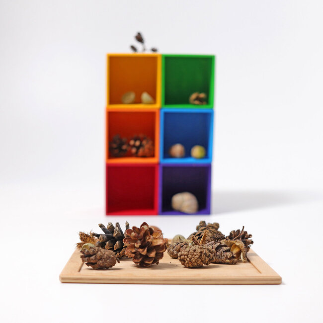 Grimms Sorteer Bakken