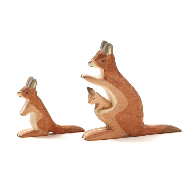 Ostheimer Kangoeroe jong