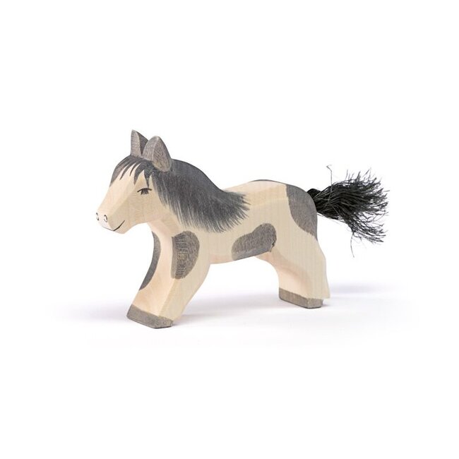 Ostheimer Shetland Pony