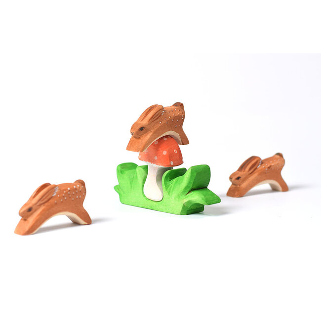 Bumbu Paddenstoel in gras