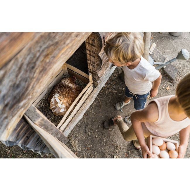 Grapat Verzamel Box - Storage Box