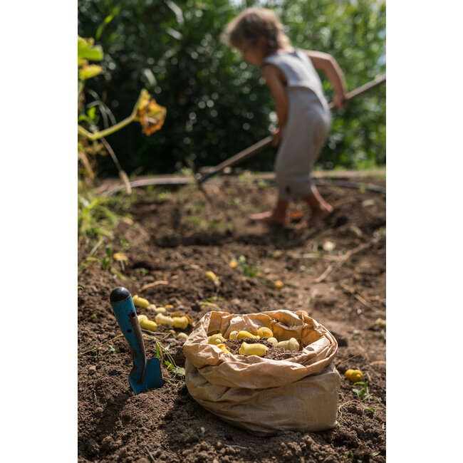 Grapat Mandala Gele Tulpen