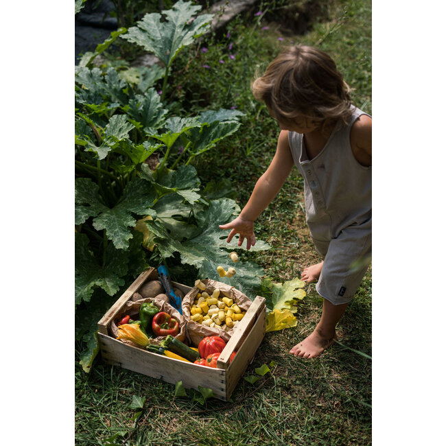 Grapat Mandala Gele Tulpen
