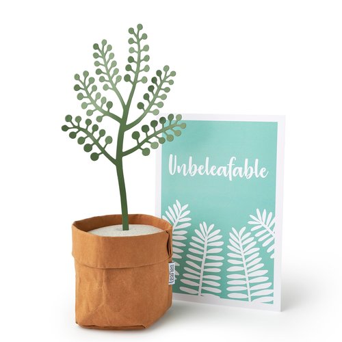 Leafies Leafies set Dalia Groen, Unbeleafable Leafies Leafies set Dalia Groen, Unbeleafable
