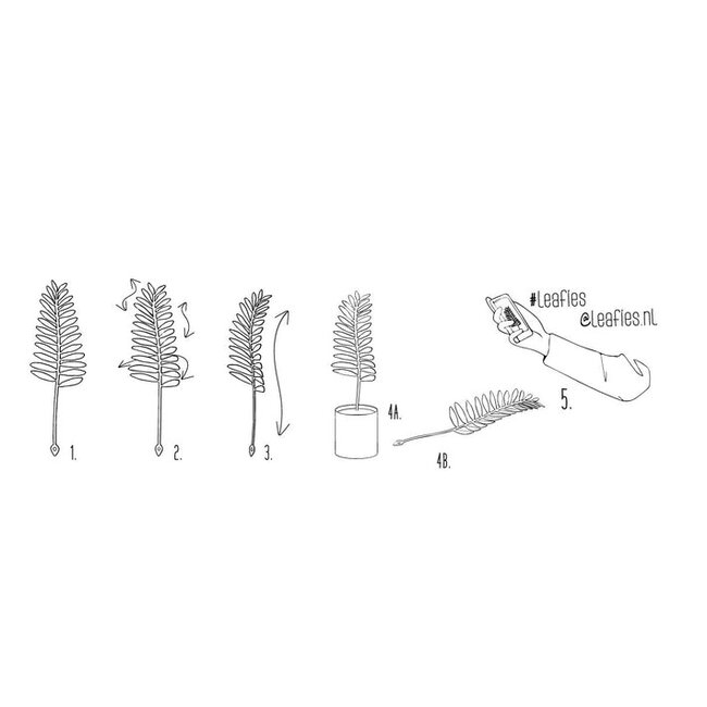 Leafies set Lilia, roest, Beleaf!