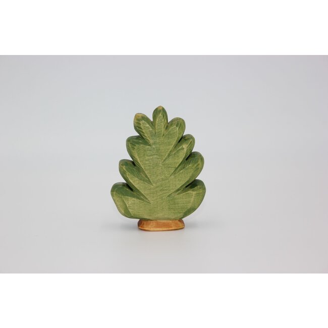 Predan Struik middel