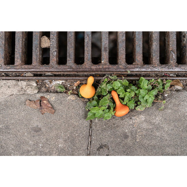 Grapat Mandala Pompoen - Pumpkin