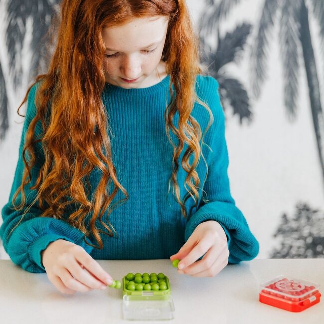 Smart Games - IQ Mini