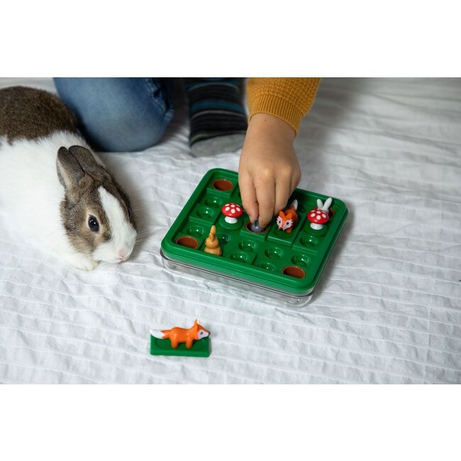 Smart Games - Jump'in