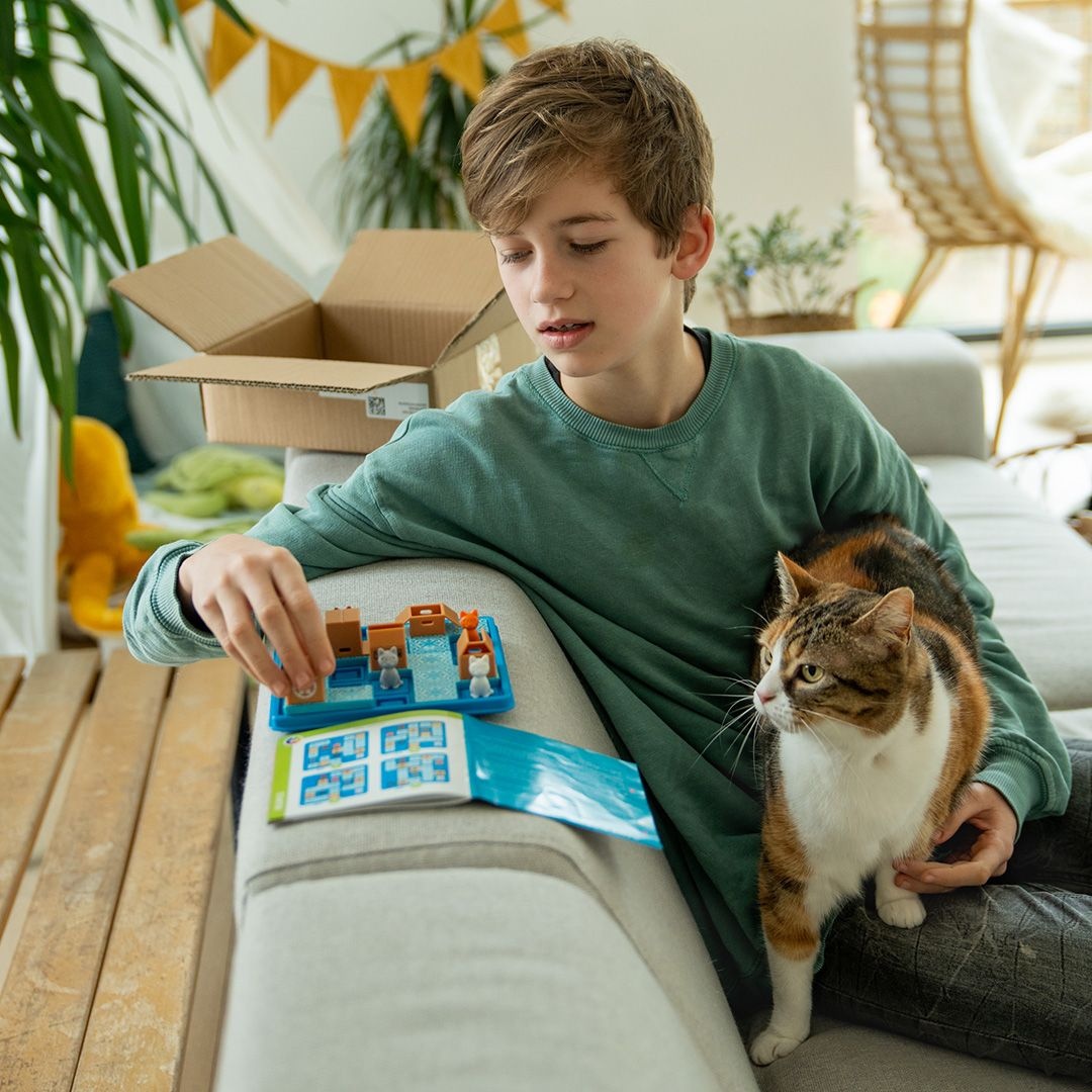 Smart Games - Cats & Boxes - Hout & Plezier - Hout en Plezier