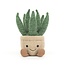 Jellycat Amuseable Aloe Vera  - Vrolijke Aloe Vera