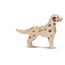 Ostheimer Dalmatier hond