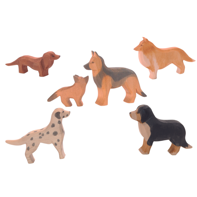 Ostheimer Collie hond