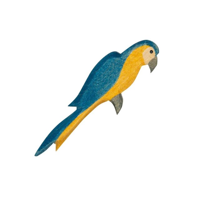 Ostheimer Papagaai blauw
