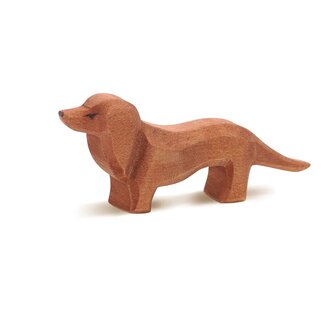 Ostheimer Ostheimer Teckel hond