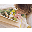 Ostheimer Ostheimer x Grapat - Hello Spring