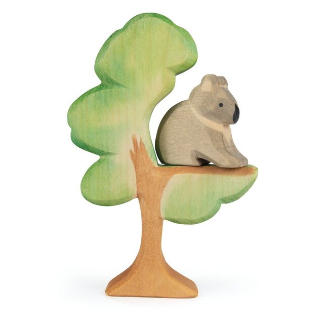 Ostheimer Eukalyptus