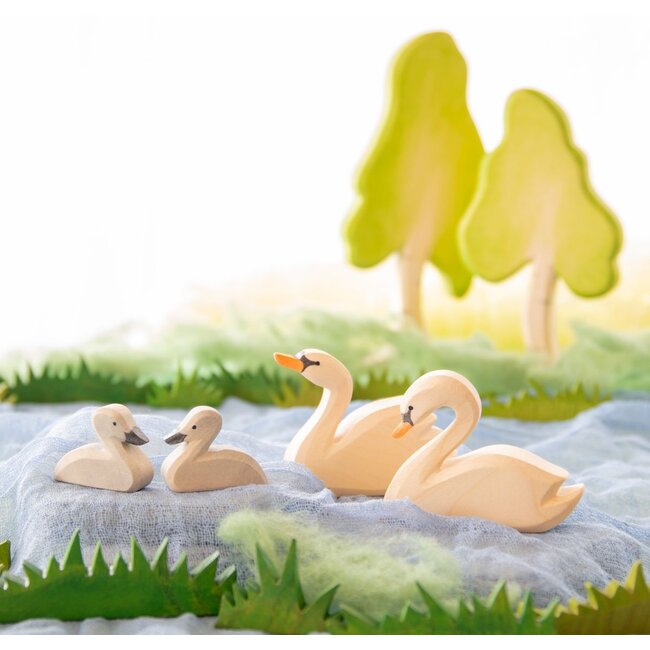 Ostheimer Zwaan kop omhoog