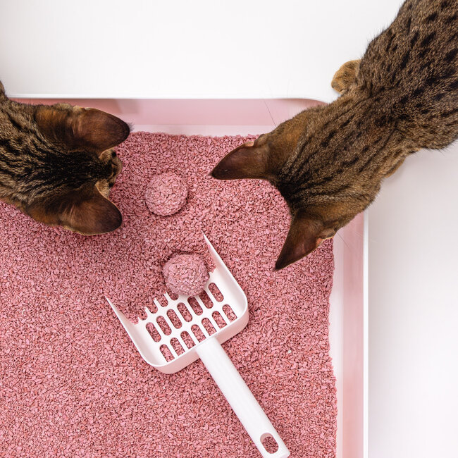 Hoopo Tofu Fine babypoeder Kattenbakvulling