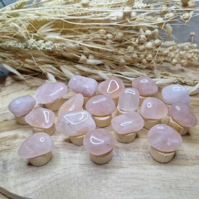 Steker Edelsteen gepolijst