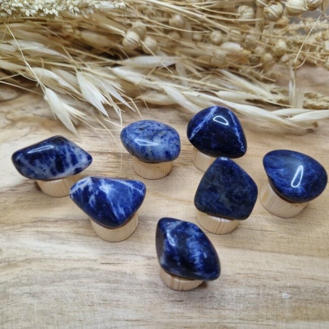 Steker Edelsteen gepolijst