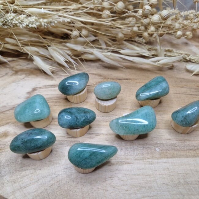 Steker Edelsteen gepolijst