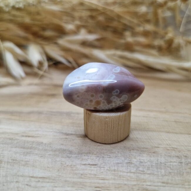 Steker Edelsteen gepolijst