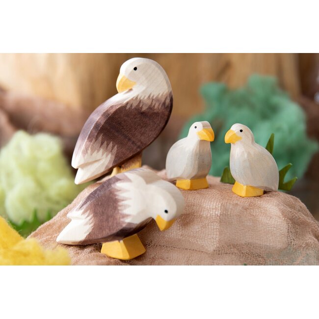 Ostheimer Staande zeearend