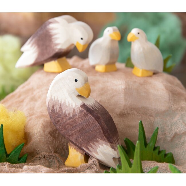 Ostheimer Staande zeearend