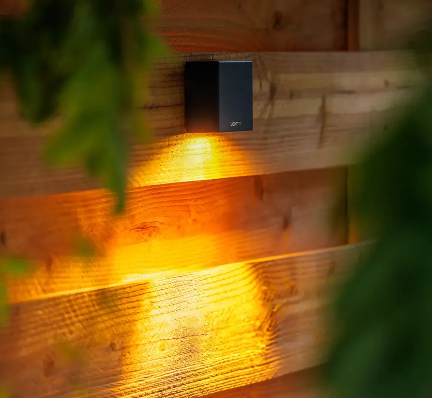 Tiga Wall Buitenlamp – Wandarmatuur 12V – Zwart