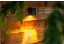 Wandlampen 12V