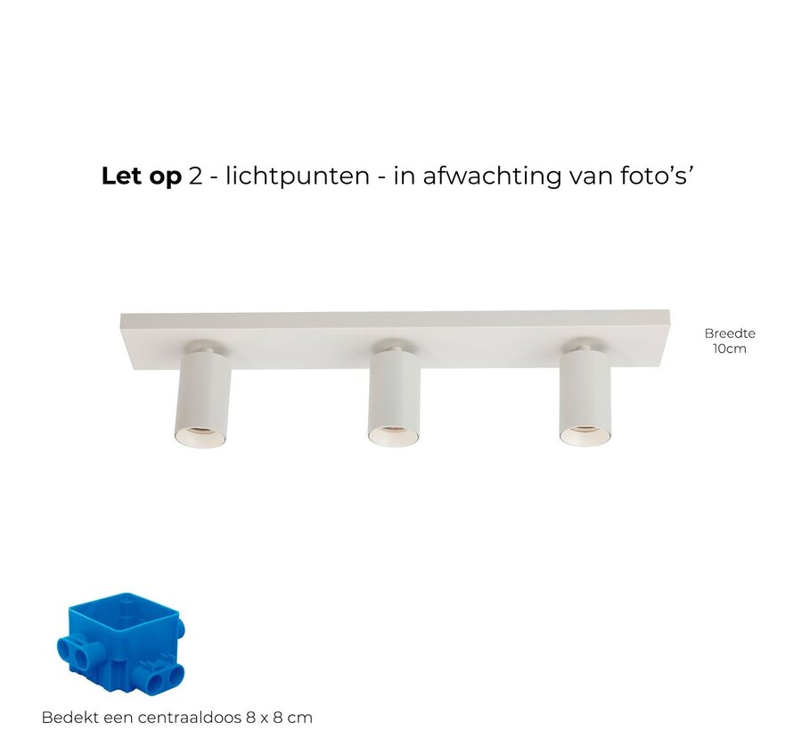 Plafondspot Elmont 2 Wit - Brede montageplaat 10cm