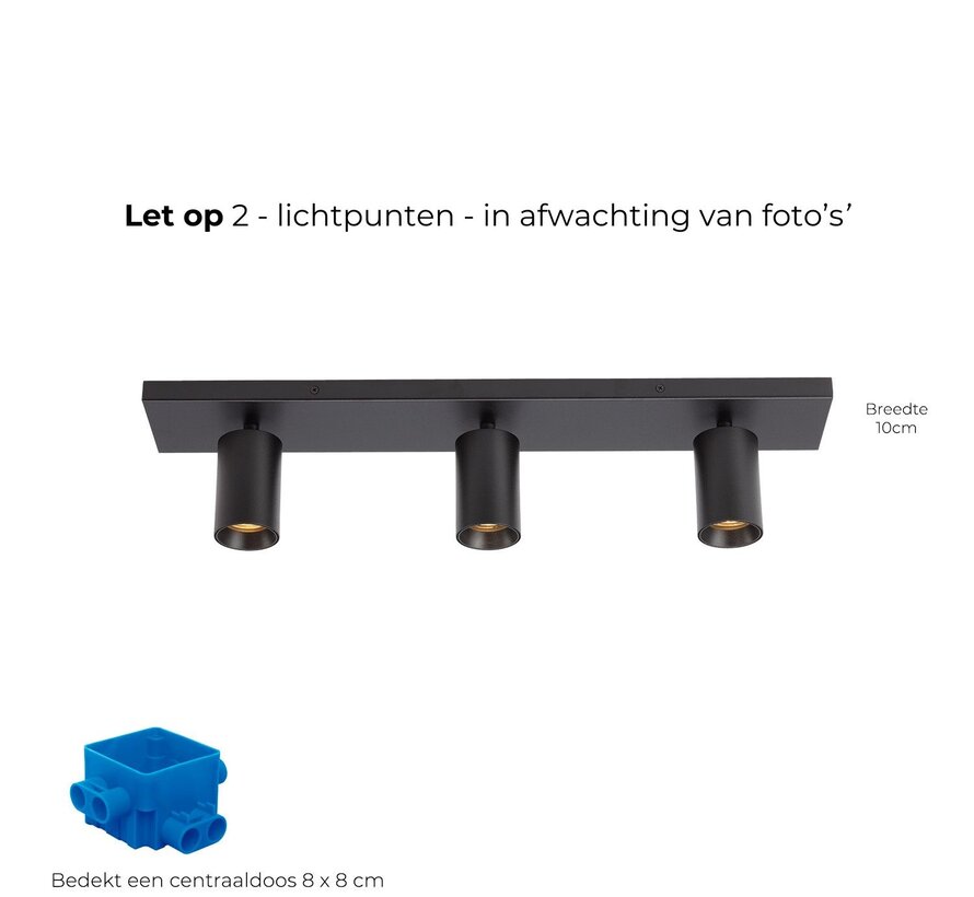 Plafondspot Elmont 2 Zwart - Brede montageplaat 10cm