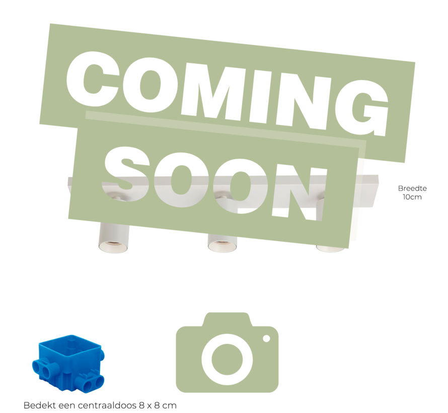 Plafondspot Elmont 2 Wit - Brede montageplaat 10cm