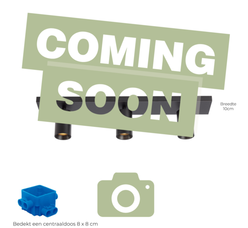 DMQ Plafondspot Elmont 2 Zwart - Brede montageplaat 10cm