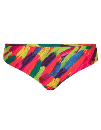 LingaDore Beach Rainbow shorty