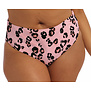 Kambuku bikinislip kleur pink met luipaardprint mt 44 of 46