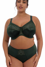 Elomi lingerie  Cate Bh met stevige beugel kleur Groen