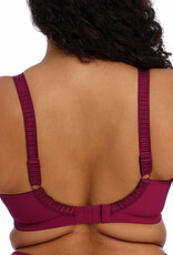 Elomi lingerie  Cate Bh met stevige beugel kleur berry