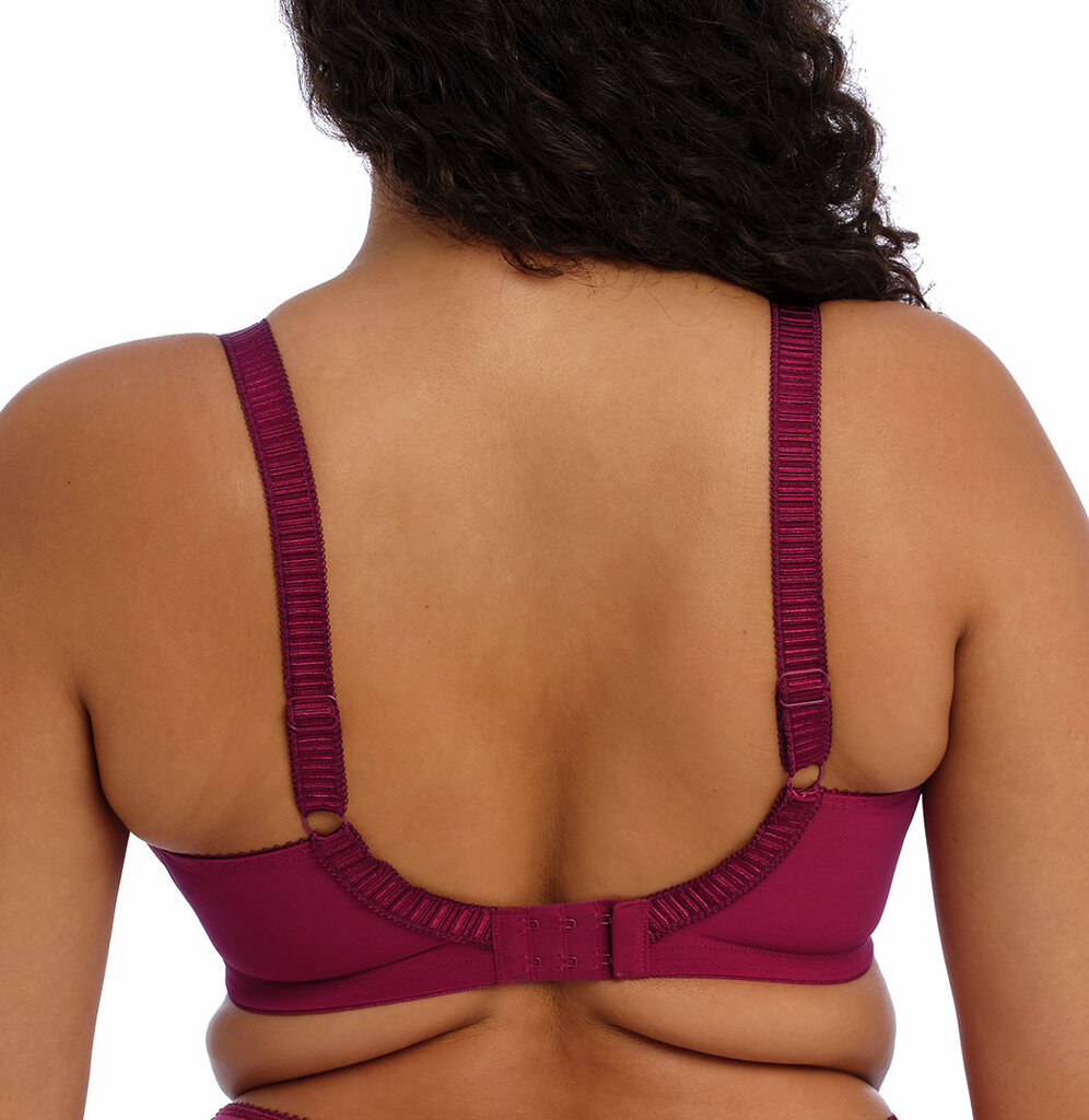 Elomi lingerie  Cate Bh met stevige beugel kleur berry