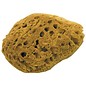 DEKOR Natural Coral Effect Sponge Medium