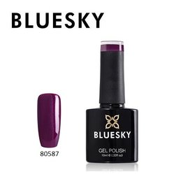 BLUESKY 80587