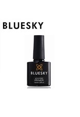 BLUESKY Primer