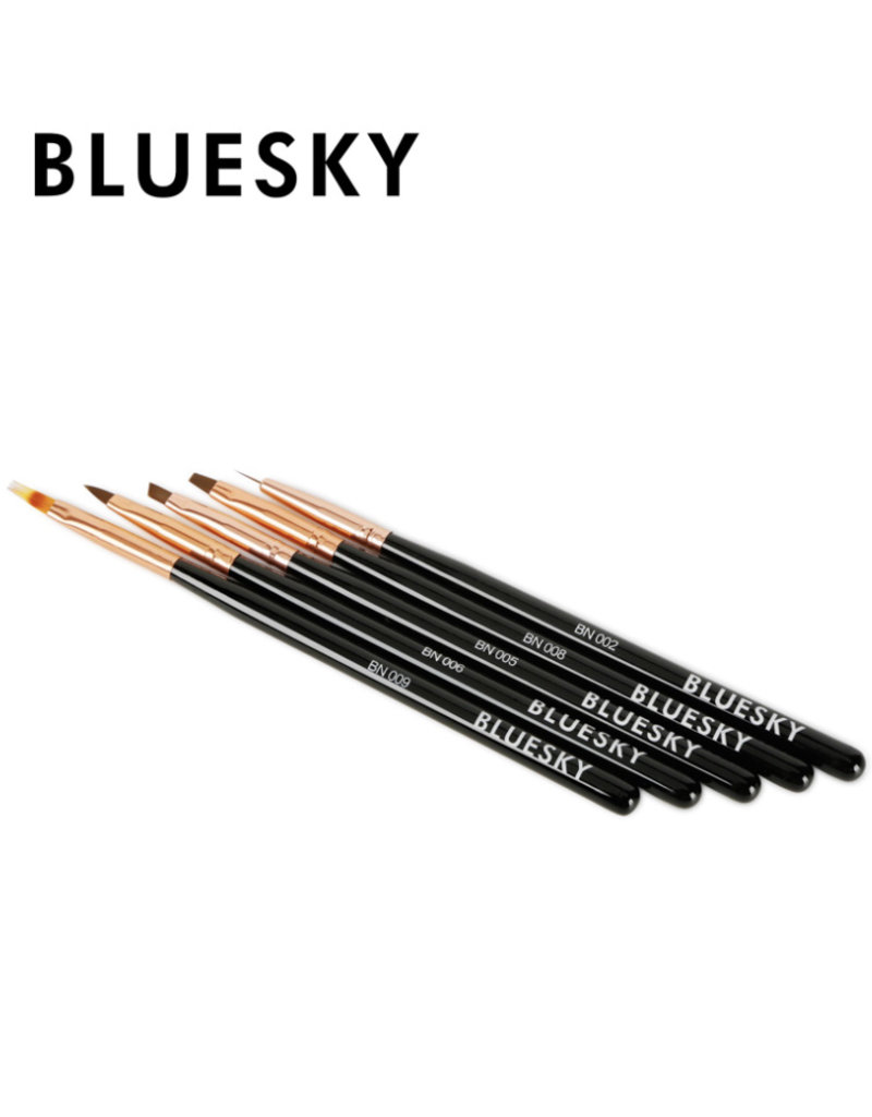 Bluesky Bluesky Pencil Set 5 Piesces