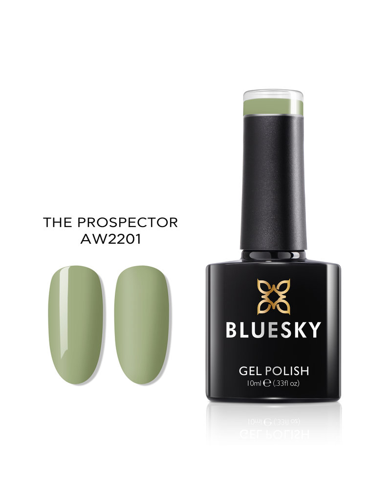 Bluesky Bluesky Gel Polish AW2201 Prospector